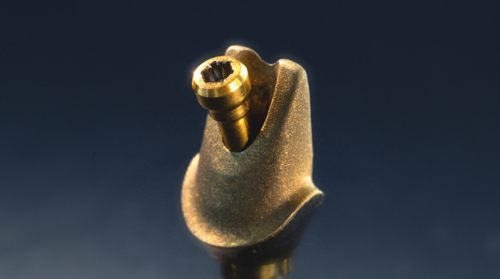 ProShape_Slider_ProShape_Tin Screw